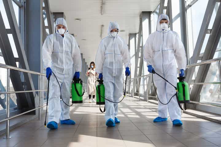 mold remediation