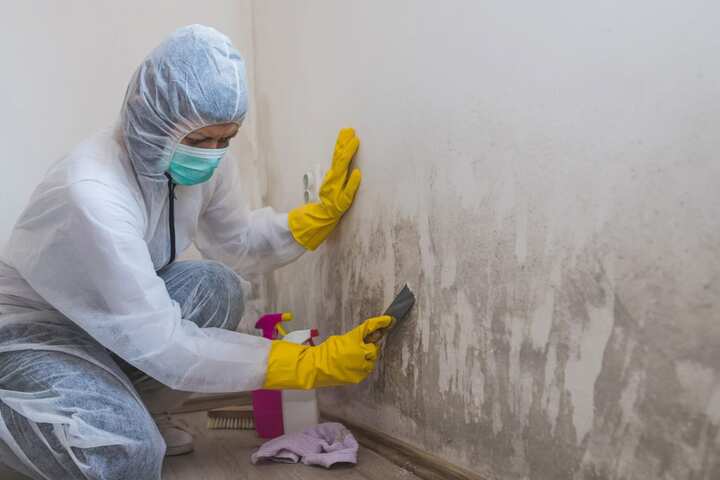 How to clean black mold from drywall Fountain City Mold Pros