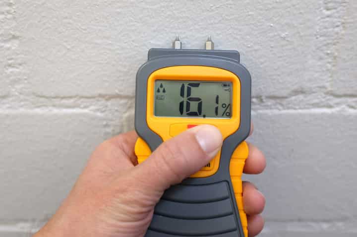 black mold remediation